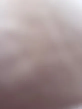 OnlyFans cuenta sofiareyuncensored header 2