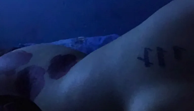 OnlyFans cuenta onlyari1 header 2