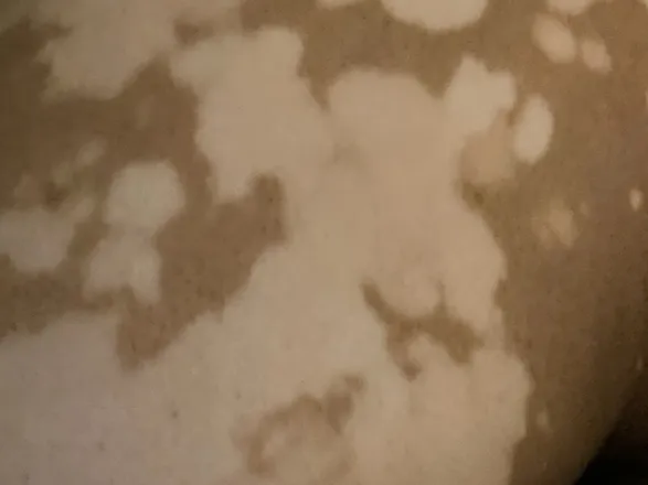 OnlyFans cuenta spottedbooty header 2