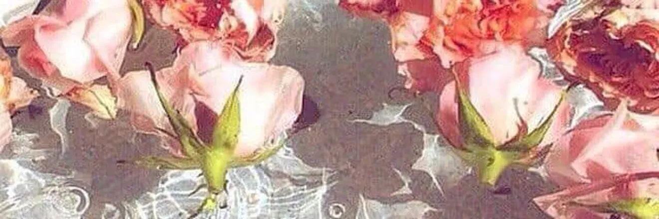 OnlyFans cuenta sensualopalxxx header 2