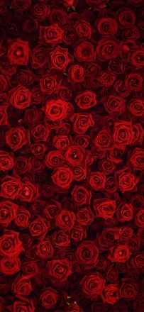 OnlyFans cuenta lovecraft_pdx header 2