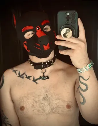 OnlyFans cuenta thepuppyfox avatar 1