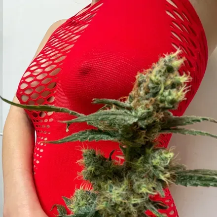 OnlyFans cuenta marialove421 header 2