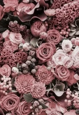 OnlyFans cuenta katrina85r header 2