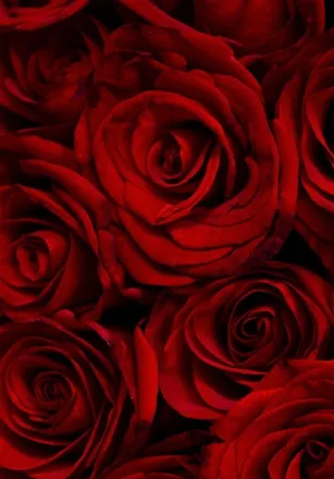 OnlyFans cuenta u209568998 header 2