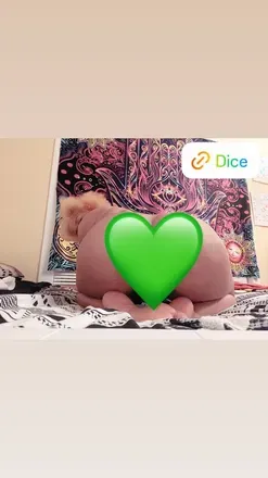OnlyFans account  raredice avatar 1