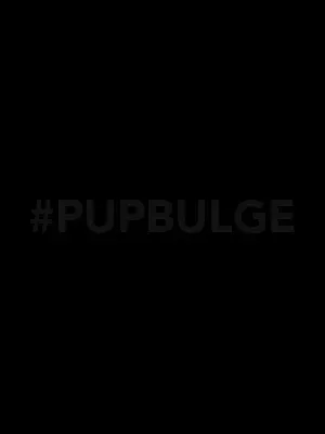 OnlyFans cuenta pupbulge avatar 1