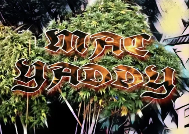 OnlyFans cuenta macyaddy header 2