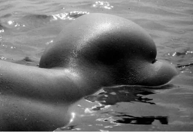 OnlyFans cuenta cindigutierrez07 header 2