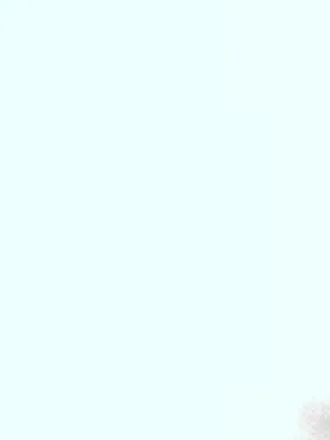 OnlyFans cuenta u54593229 header 2