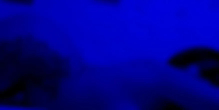 OnlyFans cuenta cherrycow header 2