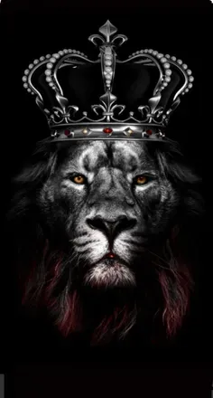 OnlyFans cuenta king_mansa_musa avatar 1