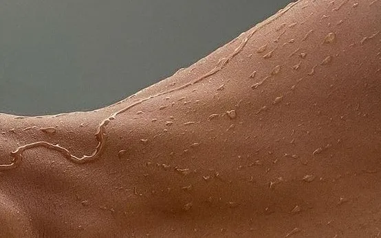 OnlyFans cuenta plpvrn header 2