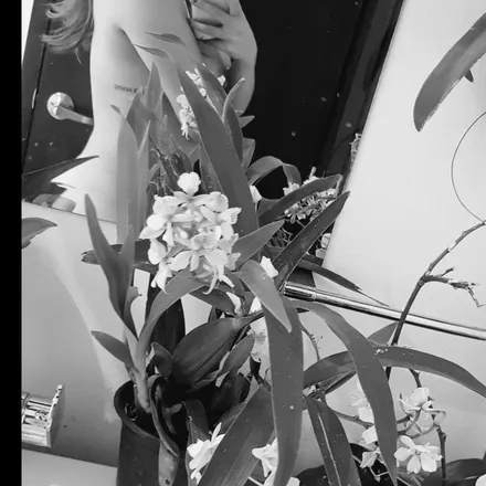 OnlyFans cuenta zaara1 header 2