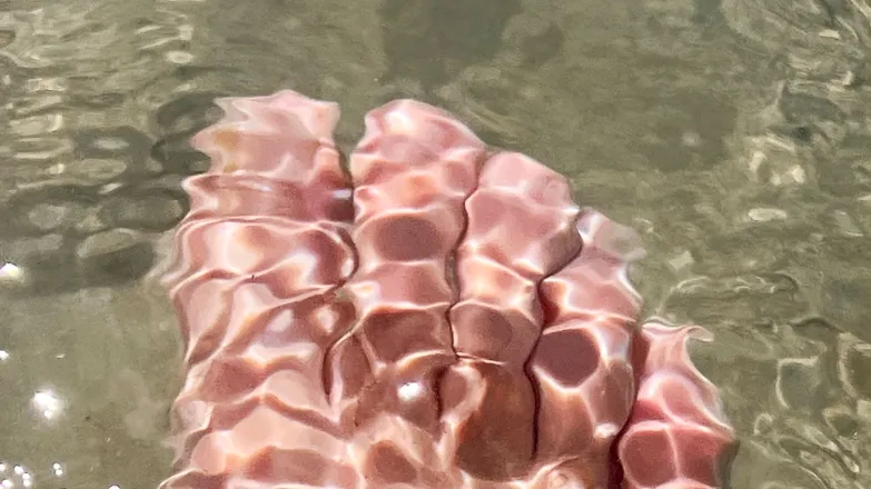 OnlyFans cuenta mikyonlyfeet header 2
