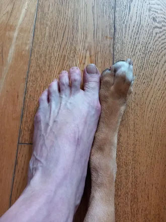 OnlyFans cuenta dirtyfeet66 header 2