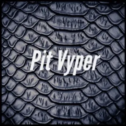 OnlyFans account  pitvyper header 2