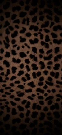 OnlyFans account  comancelli header 2