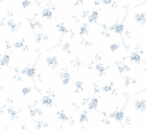 OnlyFans cuenta ccolosall header 2
