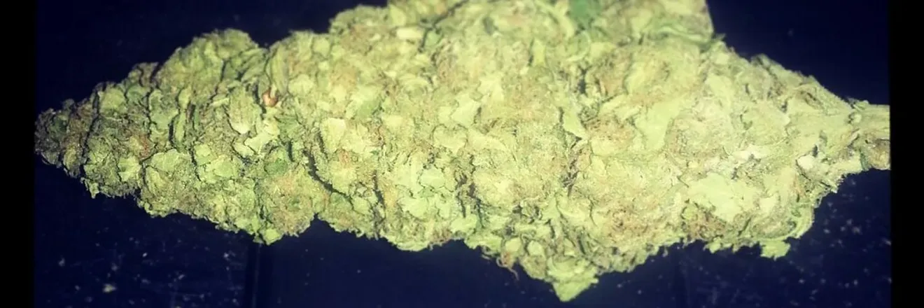 OnlyFans cuenta rollingstoner37 header 2