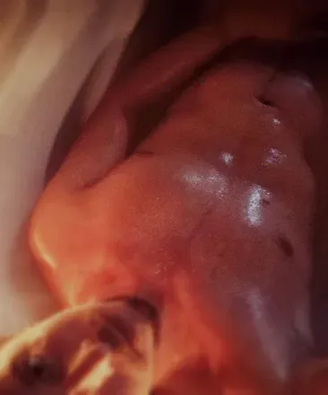 OnlyFans account  jayaprime header 2