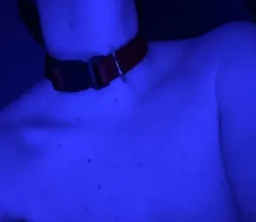 OnlyFans account  gayl1lpuppy avatar 1