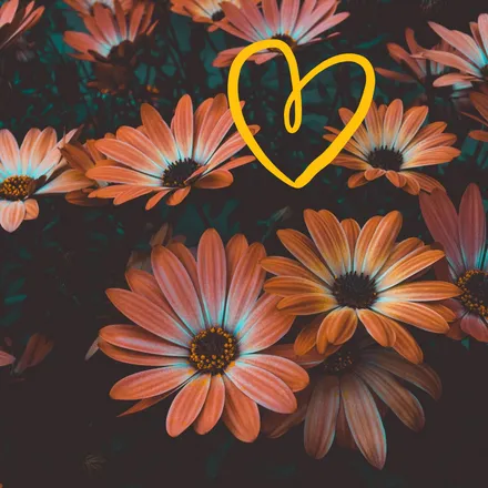 OnlyFans cuenta mixiemclaughlin header 2