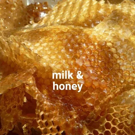 OnlyFans cuenta milkandhoney4fans avatar 1