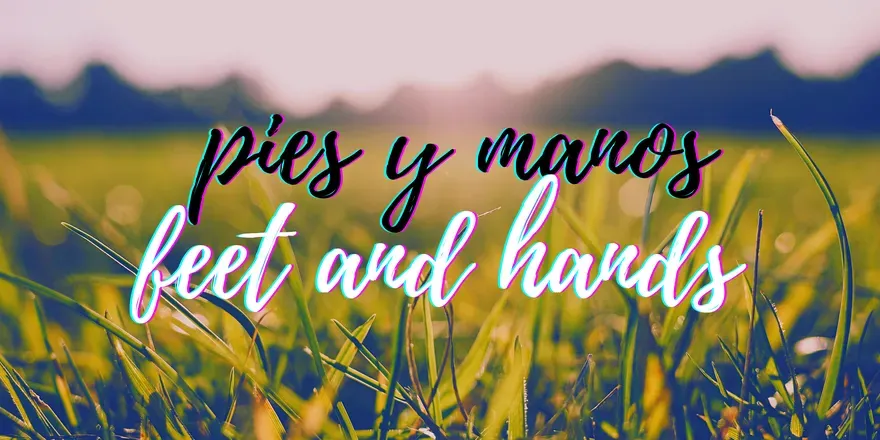 OnlyFans cuenta feetandhands202 header 2