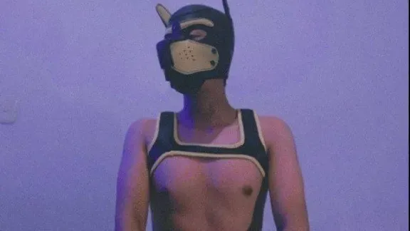 OnlyFans cuenta pup_lexxx header 2