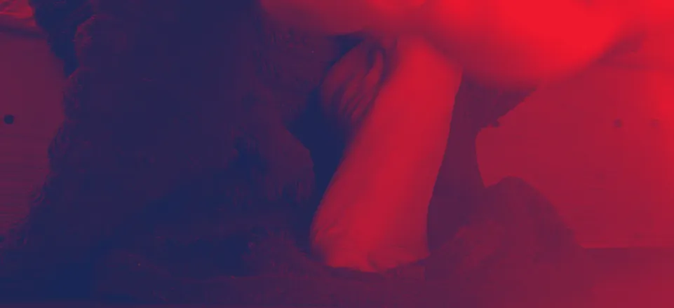 OnlyFans cuenta anettiheels header 2