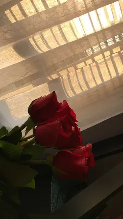 OnlyFans cuenta emoonlight.1 header 2