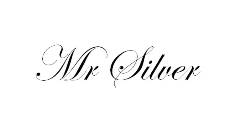 OnlyFans cuenta mr_silver87 header 2