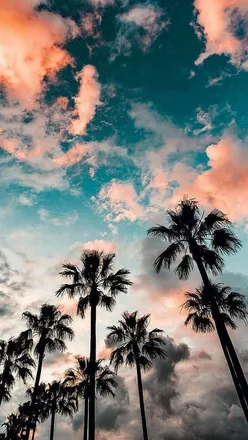 OnlyFans cuenta dima_darling header 2