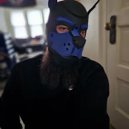 OnlyFans cuenta thatpupblue avatar 1