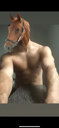 OnlyFans account  puertoricanstallionxxx header 2