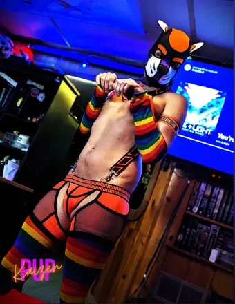 OnlyFans cuenta pupkaizenfox avatar 1