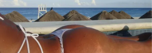 OnlyFans cuenta mature-sandyb-free header 2