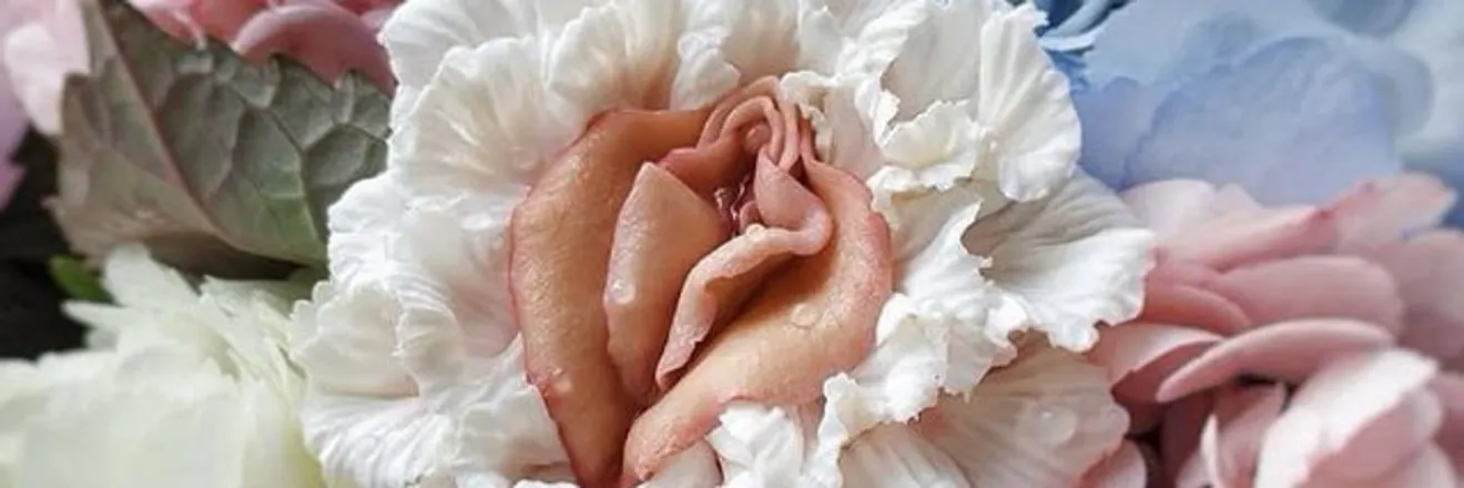 OnlyFans cuenta jenalisarose header 2