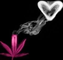 OnlyFans cuenta cinnamon42o header 2