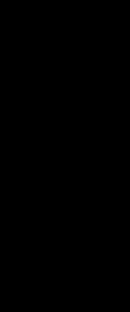 OnlyFans cuenta hurricanedixie header 2