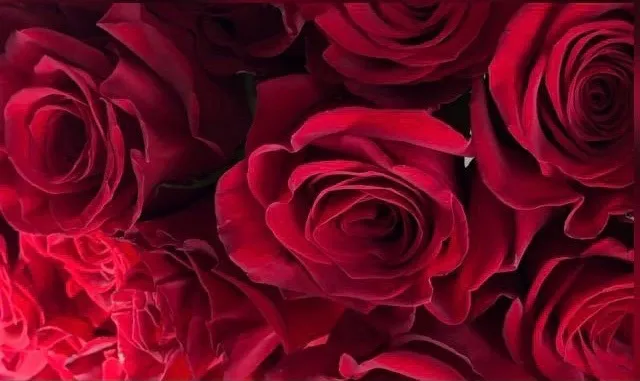 OnlyFans cuenta reybaybee header 2