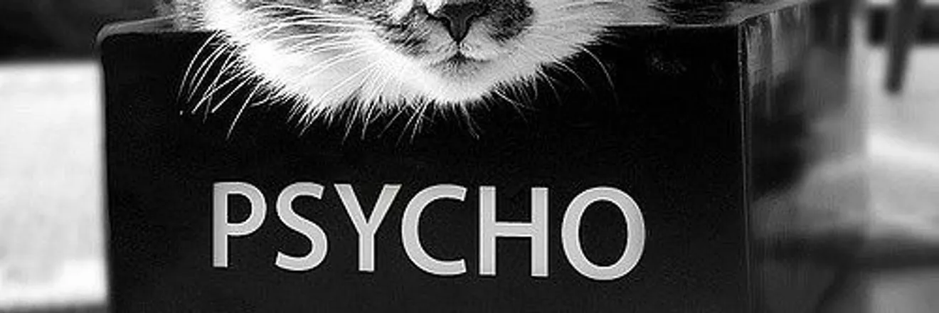 OnlyFans cuenta psychokitty0415 header 2