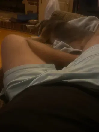 OnlyFans cuenta zachttack avatar 1