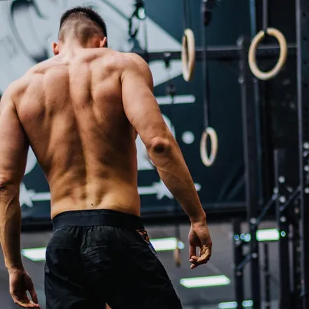 OnlyFans cuenta ceshark_top header 2