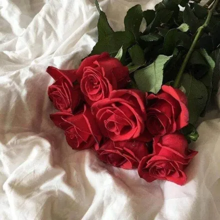 OnlyFans cuenta katdevoursyou header 2