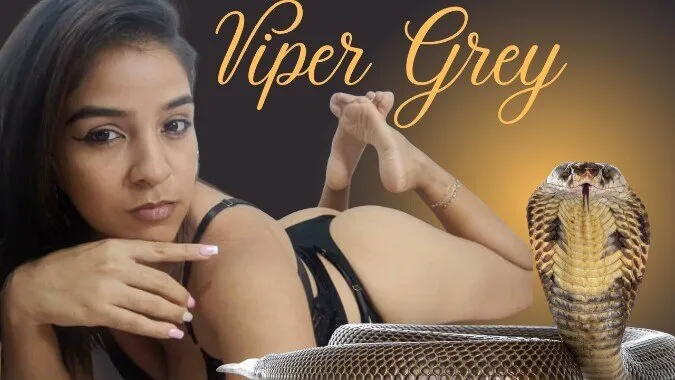 OnlyFans cuenta vipergrey header 2