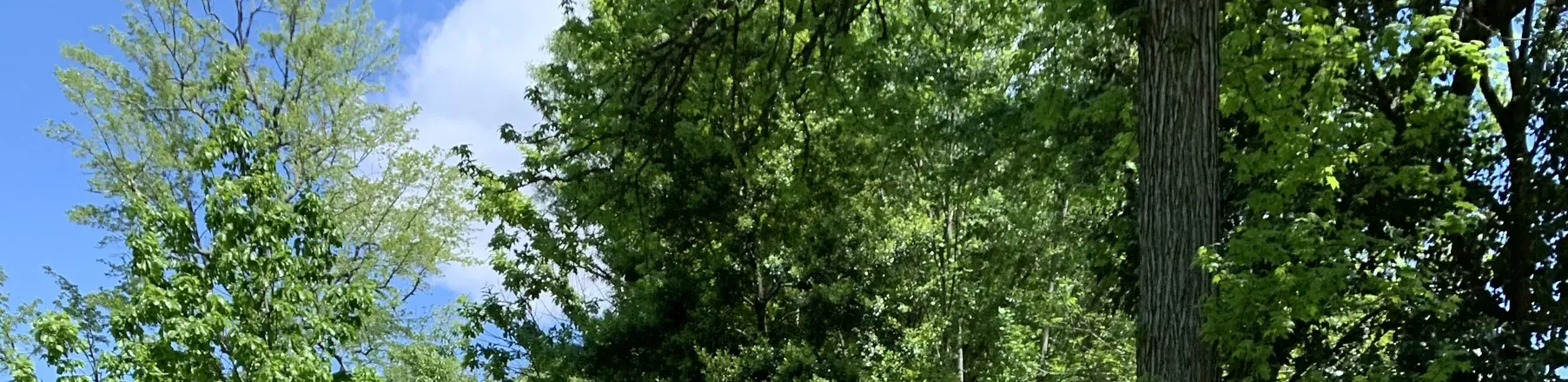 OnlyFans cuenta itz_bored header 2