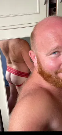 OnlyFans cuenta ginger-bear_urso-ruivo avatar 1