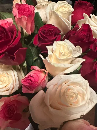 OnlyFans cuenta valienroseh header 2